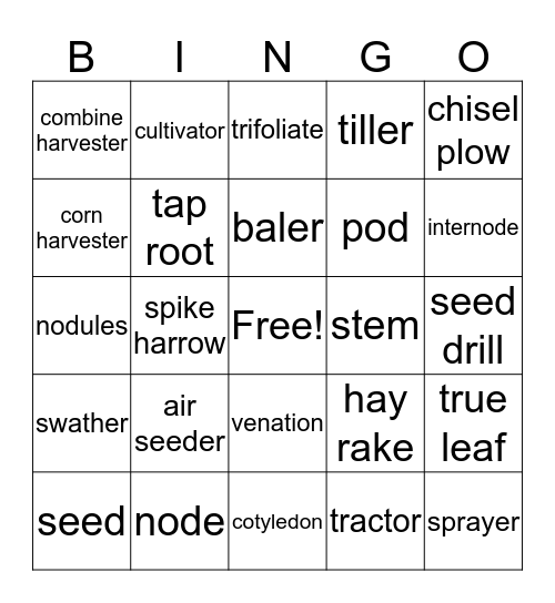 BEANGO Bingo Card