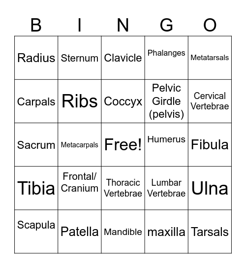 Bone Bingo Card