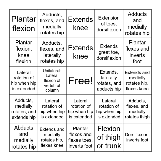 Actions of Leg Muscles Bingo Card