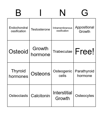 Bone Formation Bingo Card