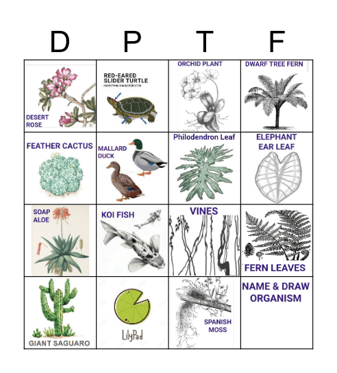 5th Grade Science Field Trip Bingo Card