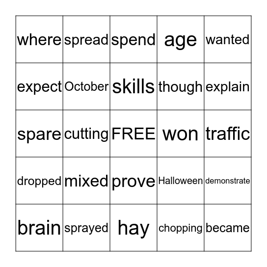 Spelling Review Weeks 1-4 Bingo Card