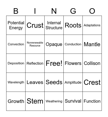 Science Review Bingo Card