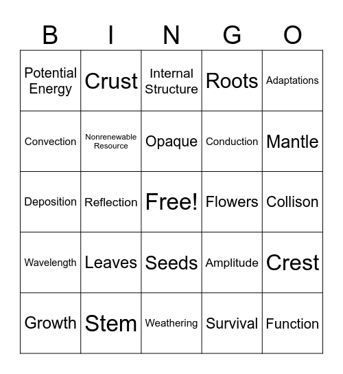 Science Review Bingo Card