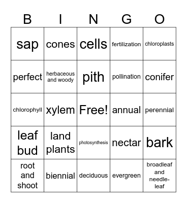 TREE BINGO Card