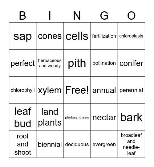 TREE BINGO Card