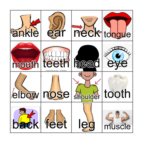 Body Parts Bingo Card