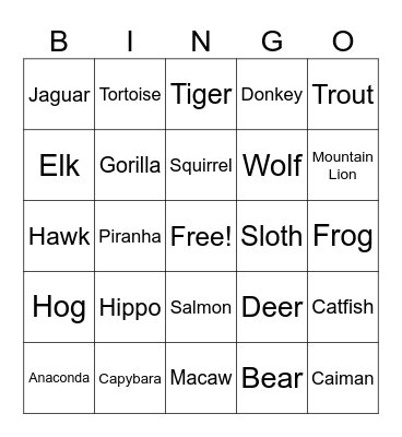 Animals Bingo Card