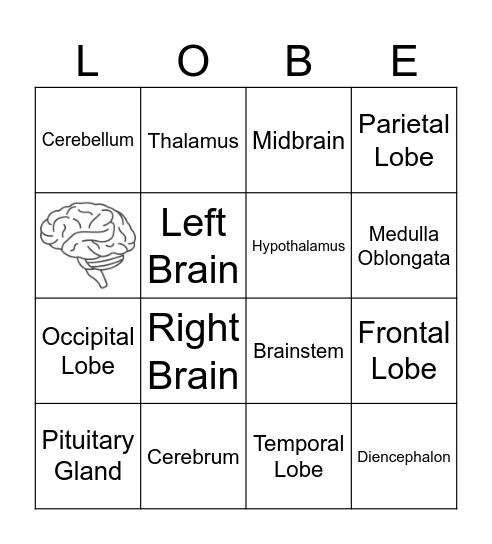 BRAIN LOBE Bingo Card