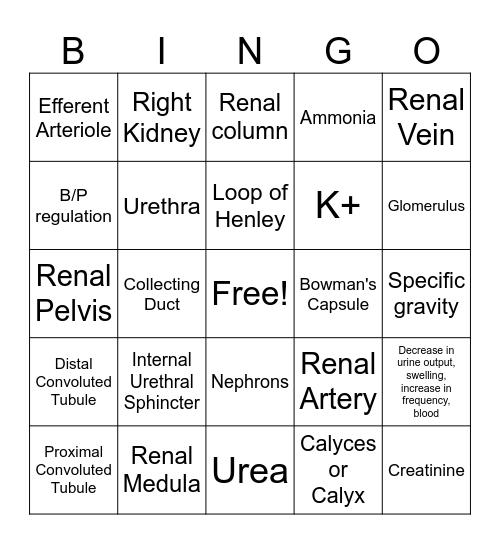 Excretory System Bingo Card