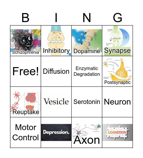NEUROTRANSMITTERS Bingo Card