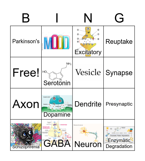 NEUROTRANSMITTERS Bingo Card