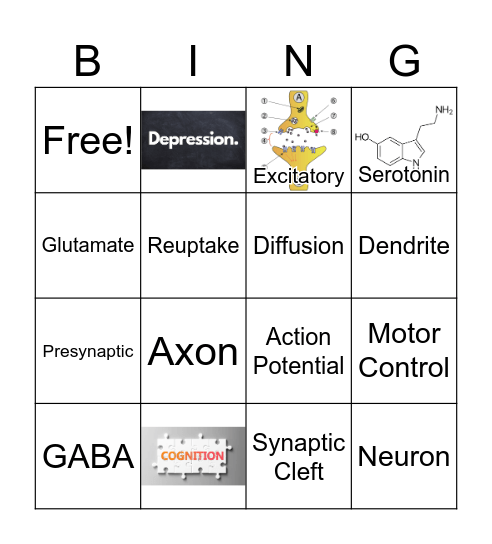 NEUROTRANSMITTERS Bingo Card