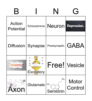 NEUROTRANSMITTERS Bingo Card