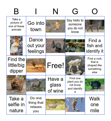 Hannah's 30th Birthday Bingo! Bingo Card