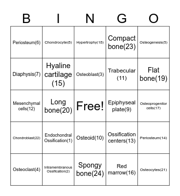 Bone formation Bingo Card