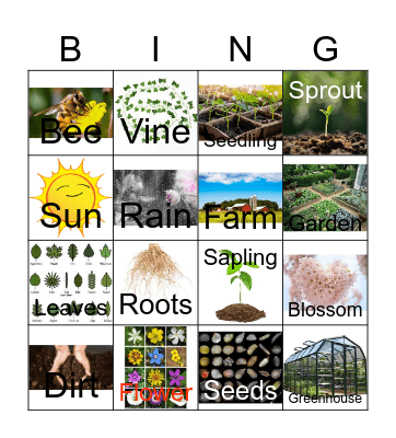 Plants Bingo Card