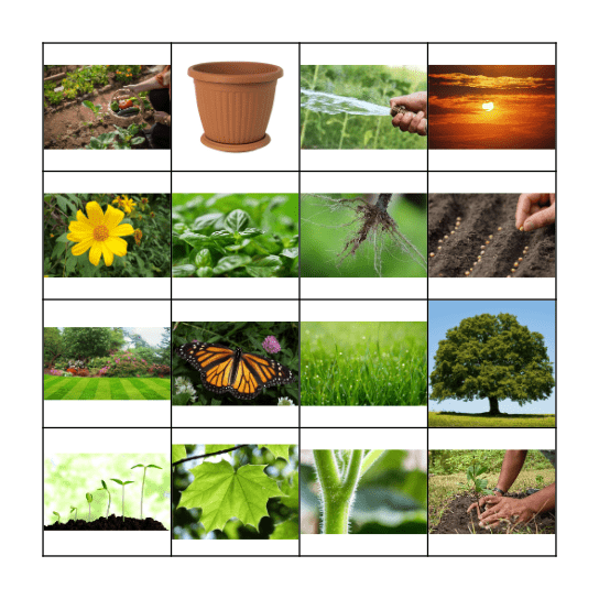 El Jardin Bingo Card