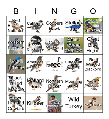 Bird Bingo Card