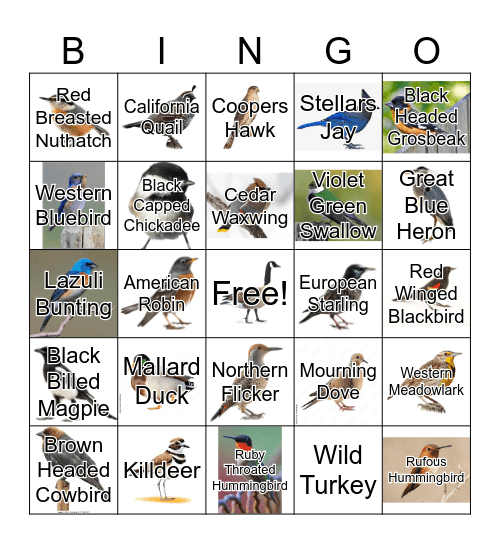 Bird Bingo Card