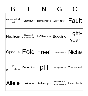 SSA Vocabulary Bingo Card