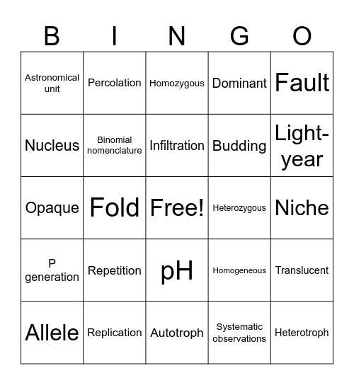 SSA Vocabulary Bingo Card