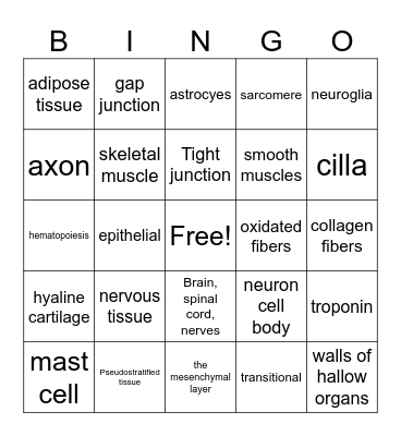 body tissues Bingo Card