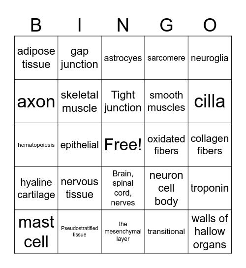 body tissues Bingo Card