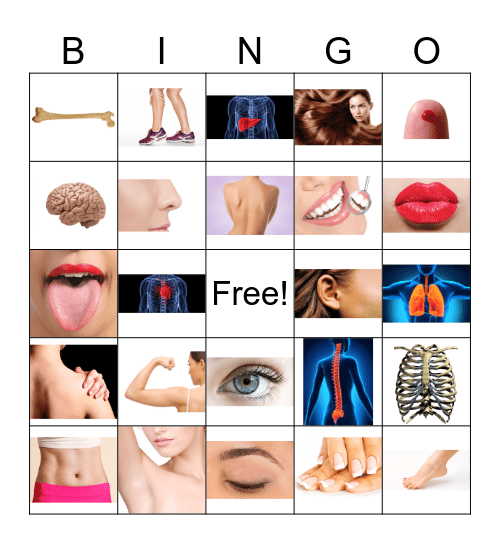 Body Parts Bingo Card
