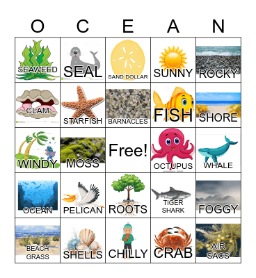 Ocean Bingo Card