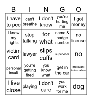 Cop cam bingo Card