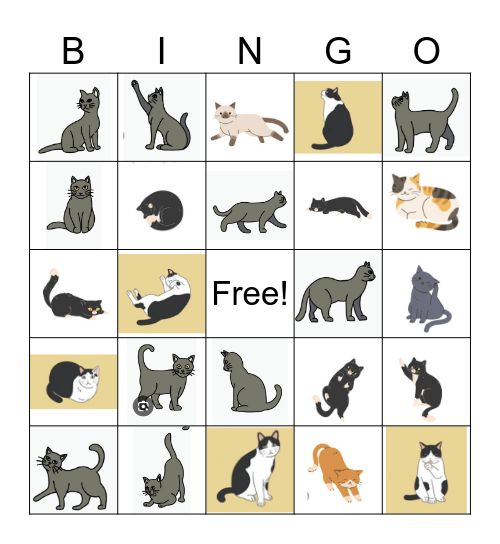 Cat Poses Bingo Card