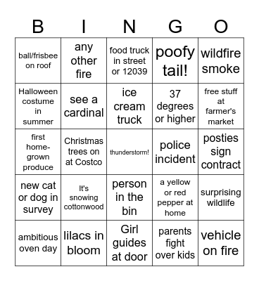SUMMER BINGO 2025 Bingo Card