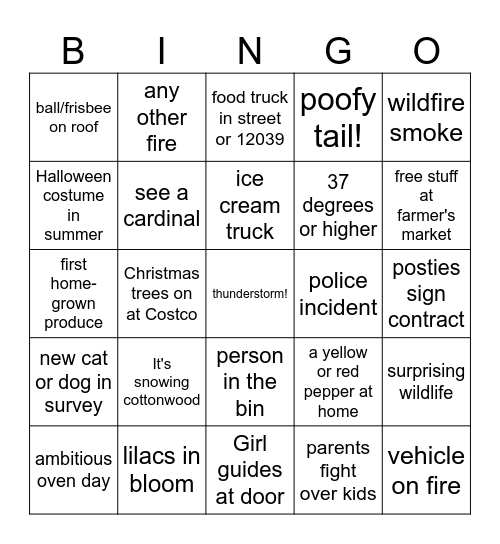 SUMMER BINGO 2025 Bingo Card