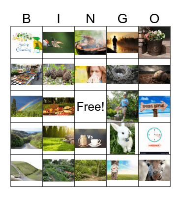 SPRING-O Bingo Card
