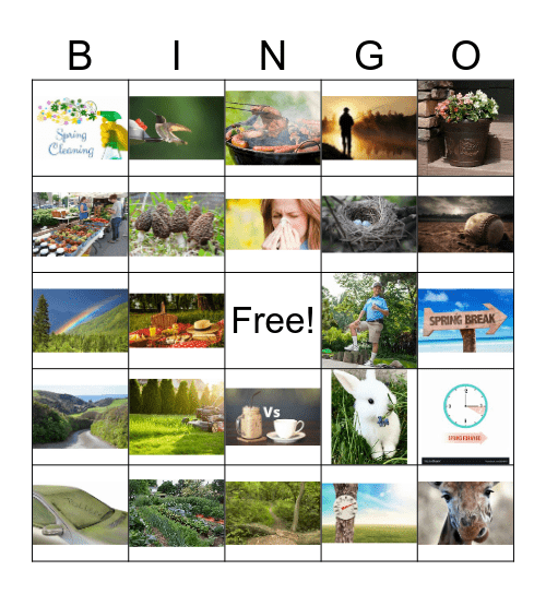 SPRING-O Bingo Card
