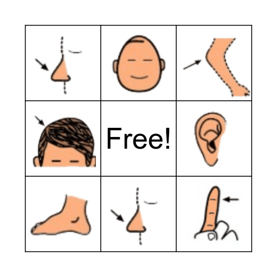 Body Parts Bingo Card
