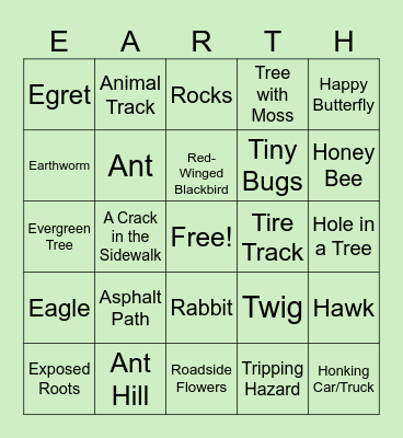 Earth Nature Walk BINGO Card