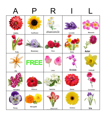 FLOWERS Bingo Card