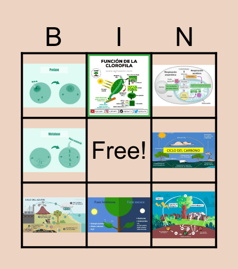 Bingo de ciencias naturales Bingo Card