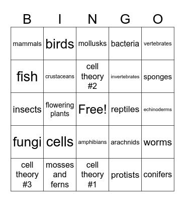 Cells, cells, and more cells! Bingo Card