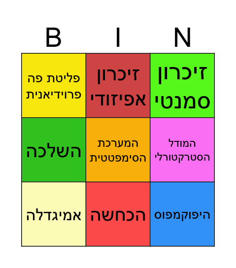 מושגים מסמסטר א - עמית 2 Bingo Card