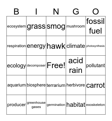 Eager for Ecosystems Bingo Card