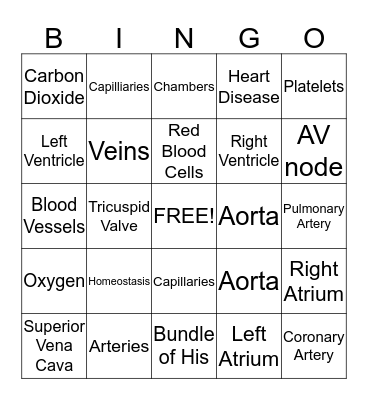 Cardiovascular System Bingo Card