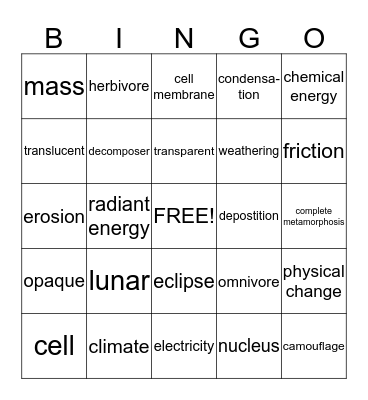 4th Grade Science Vocab. Bingo Card