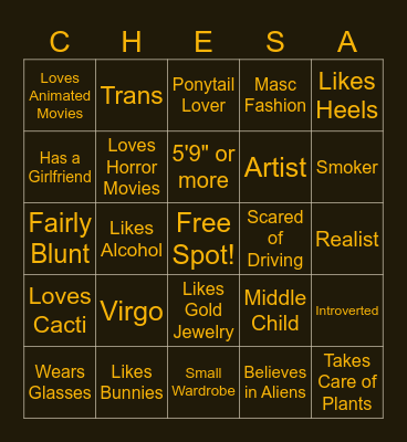 Chesa Similarities Bingo Card