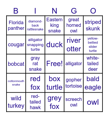 Wildlife Bingo Card