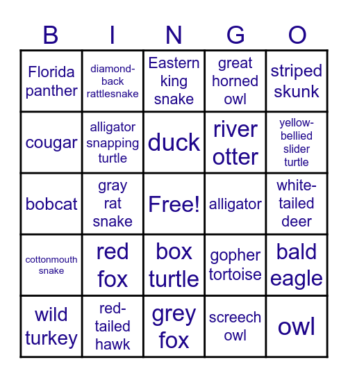 Wildlife Bingo Card