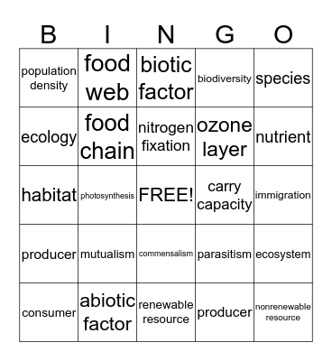 Bingo Card