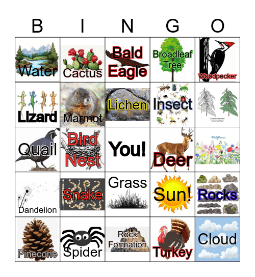 The Columbia Basin Bingo Card